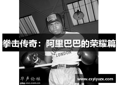 拳击传奇：阿里巴巴的荣耀篇